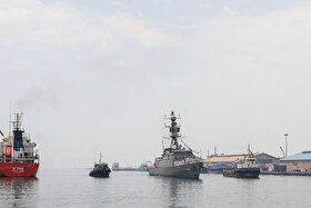 ویدئو | چه غریبانه به غربت جان سپردید