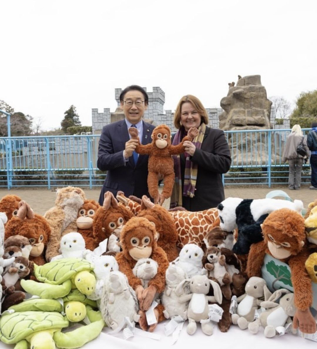 ماجرای «پانچ»، بچهمیمون تنهای ژاپنی و عروسکش + عکس و ویدئو ماجرای «پانچ»، بچهمیمون تنهای ژاپنی و عروسکش + عکس و ویدئو