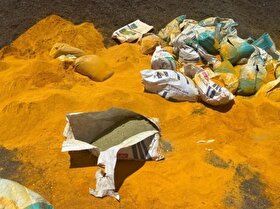 کشف ۱۶ تن ادویه تقلبی و ۱۴ تن مواد اولیه غیربهداشتی در مشهد (۴ اسفند ۱۴۰۴)