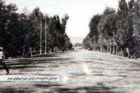 روایتی از خیابانی که بسیار درباره‌اش گفتند و نوشتند، اما به پایان نرسید | شاهرضای ناتمام!