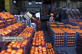 هزار و ۷۰۰ تن میوه شب عید در خراسان رضوی تأمین و آماده توزیع شد