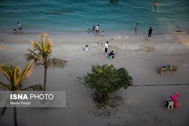 گزارش تصویری | کیش؛ جزیره‌ای که زمستان ندارد