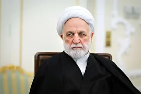 ‌اژه‌ای: اهانت به پرچم ایران در دانشگاه‌ قابل‌قبول نیست | شعب قضایی تخصصی متناسب با موضوعات اقشار جامعه تشکیل می‌شود