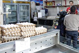صادرات، گره تولید‌کنندگان تخم‌مرغ را باز نکرد | مرغ‌های مولد همچنان در حال حذف هستند