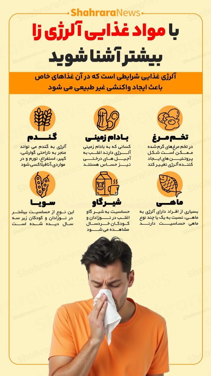 اینفوگرافی| با مواد غذایی آلرژیزا بیشتر آشنا شوید اینفوگرافی| با مواد غذایی آلرژیزا بیشتر آشنا شوید