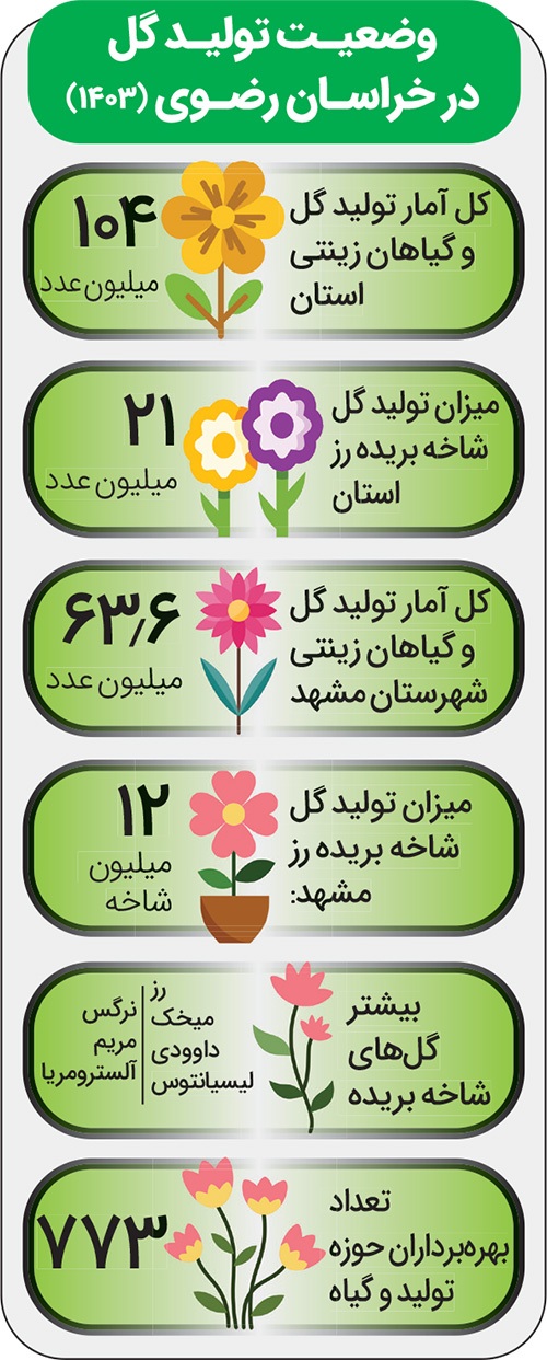 کاهش صادرات گل رز از مشهد با دخالت دلال‌ها