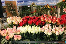                      نمایشگاه گل و گیاه مشهد، برند فضای سبز این شهر است | فعالیت ۵۰۰ غرفه دار از سراسر کشور                 