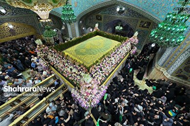 گزارش تصویری | تعویض گل‌های ضریح حرم مطهر امام‌رضا(ع)