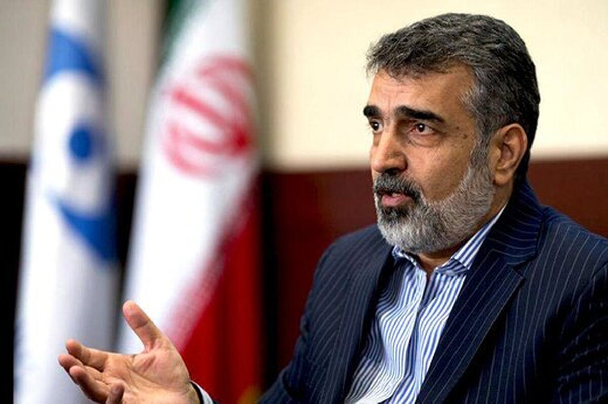 معاون سازمان انرژی اتمی: ایران تنها کشوری نیست که غنی‌سازی می‌کند و در عین حال سلاح هسته‌ای ندارد