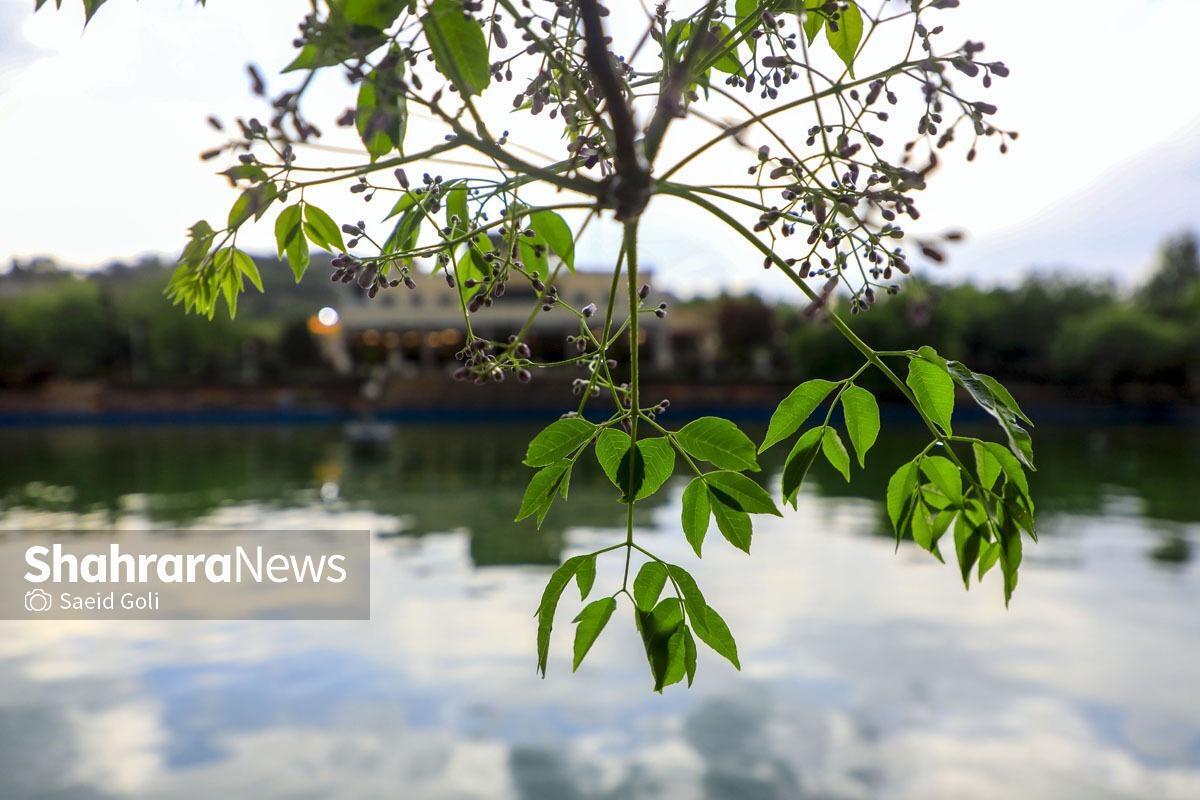 براساس اعلام مدیرکل حفاظت محیط زیست خراسان رضوی، شاخص کیفیت هوای کلانشهر مشهد در دومین روز اردیبهشت ماه ۱۴۰۴ در شرایط «سالم» برای تنفس شهروندان قرار دارد.