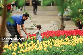                      رضایت ۸۵ درصدی مردم از بوستان‌های شهر مشهد                 