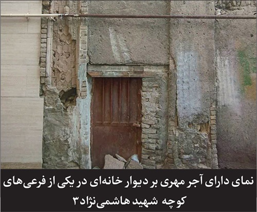 درباره کوچه‌ای در خیابان هاشمی نژاد مشهد | سرگذشت باغی که کوچه شد