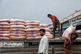 واردات یک نوع برنج هندی ممنوع شد