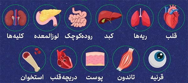 با گرفتن کارت اهدای عضو، مهم‌ترین وصیتتان را به اطلاع خانواده برسانید | تصمیم حیاتی