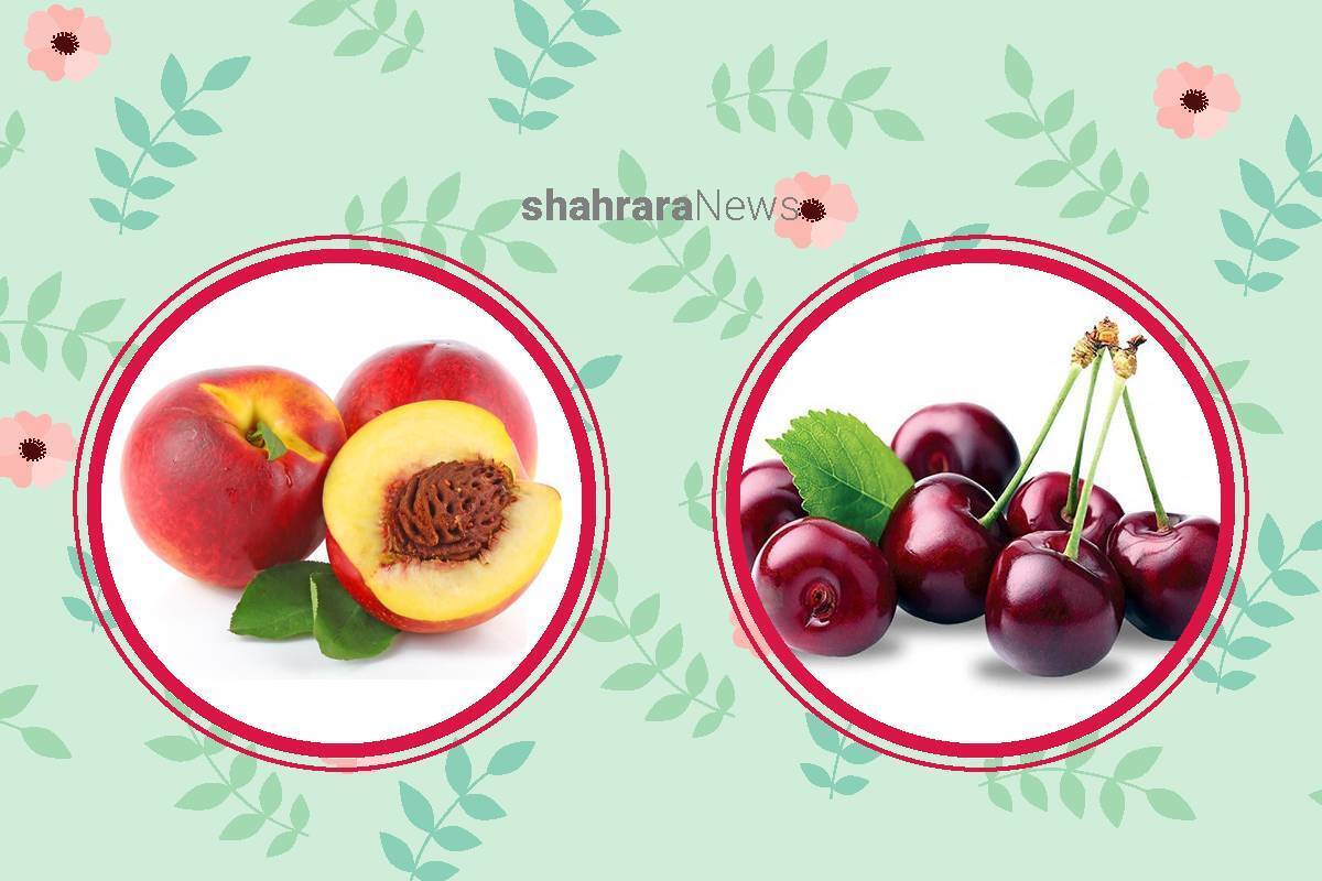 دانستنی‌های کودک | میوه‌هایی که ضدآفتاب هستند