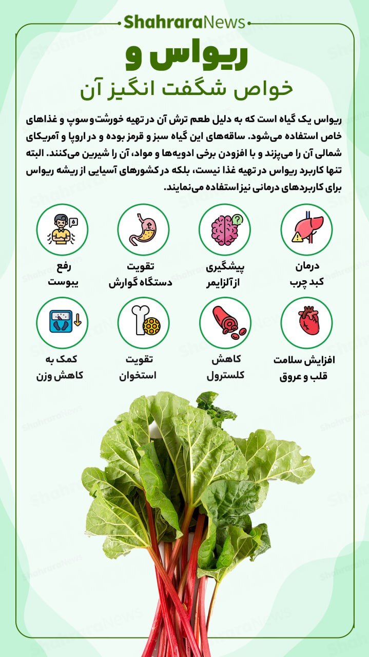 اینفوگرافی| خواص شگفت‌انگیز ریواس