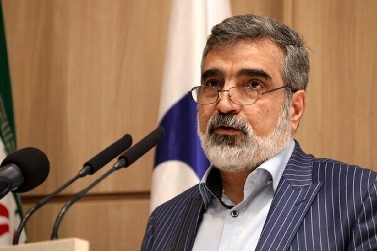 بهروز کمالوندی با بیان اینکه ماجرای دو مکان تورقوزآباد و ورامین خرابکاری است، گفت: وقتی اسناد را به مسئولان آژانس نشان دادیم، گفتند «اسناد شما منسجم است، اما ما نمی‌توانیم ارزیابی‌های گذشته را کنار بگذاریم.»