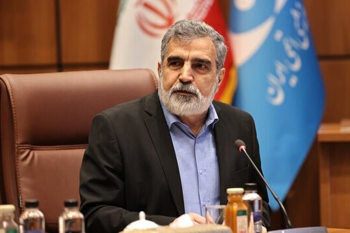 سخنگوی سازمان انرژی اتمی گفت: بلافاصله پس از صدور این قطعنامه تحمیلی و ظالمانه، پرسشنامه طراحی (DIQ) مربوط به دو اقدام مشخص و مؤثر به آژانس بین‌المللی انرژی اتمی ارائه شد. یکی از این اقدامات، راه‌اندازی سایت سوم امن غنی‌سازی است که به‌عنوان سومین مجتمع غنی‌سازی کشور، از ضریب امنیتی بسیار بالایی برخوردار است و اهمیت راهبردی دارد.
