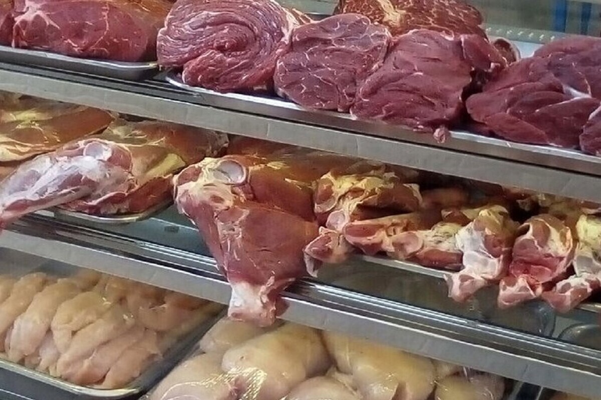 افزایش قیمت مرغ و گوشت در مشهد (۶ خرداد ۱۴۰۴) + جزئیات