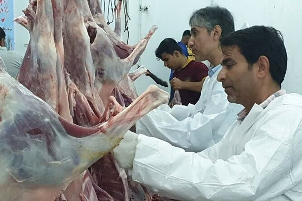 ذبح دام فقط در مراکز مجاز ممکن است
