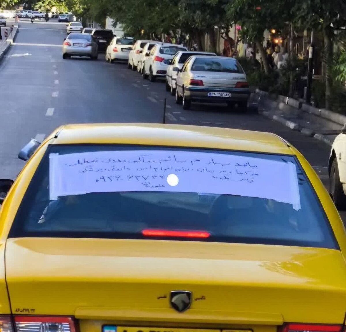 مشهد در آغوش همدلی| روایتی از روز‌های سخت و قلب‌های مهربان