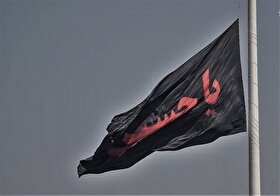 ویدئو| هر پرچم یک هویت