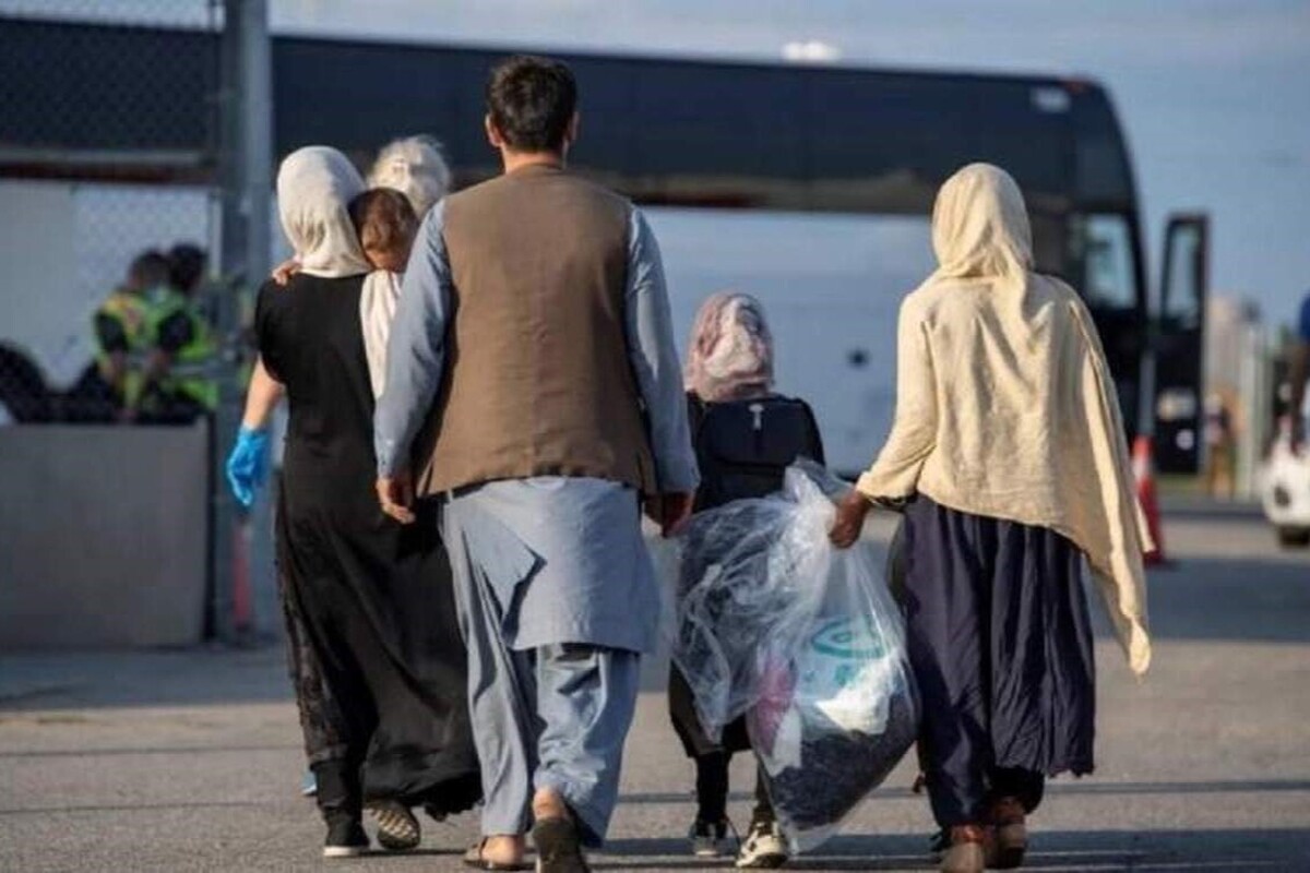 فرماندار تایباد: پس از پایان جنگ ۱۲ روزه، بازگشت افغانستانی‌های خود معرف افزایش یافته است
