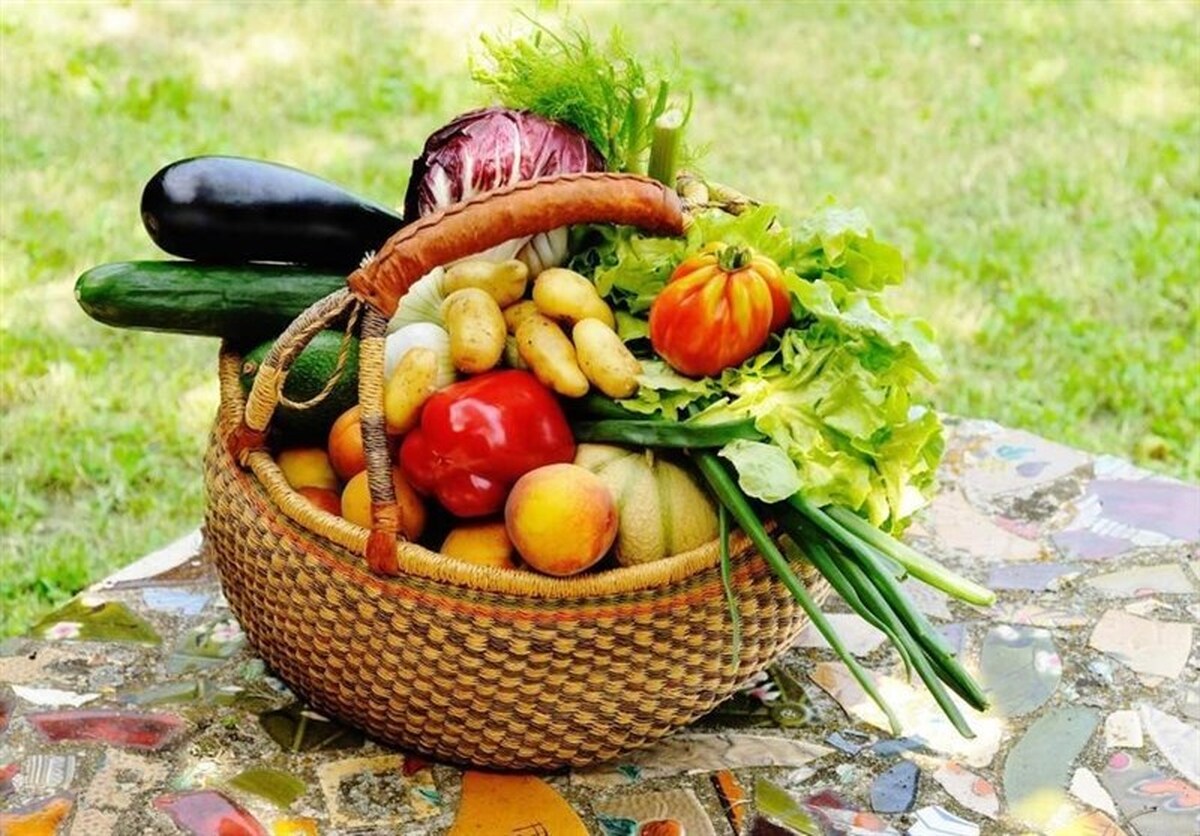 هشدار وزارت بهداشت درباره خطر آلودگی سبزیجات به مدفوع سگ و گربه
