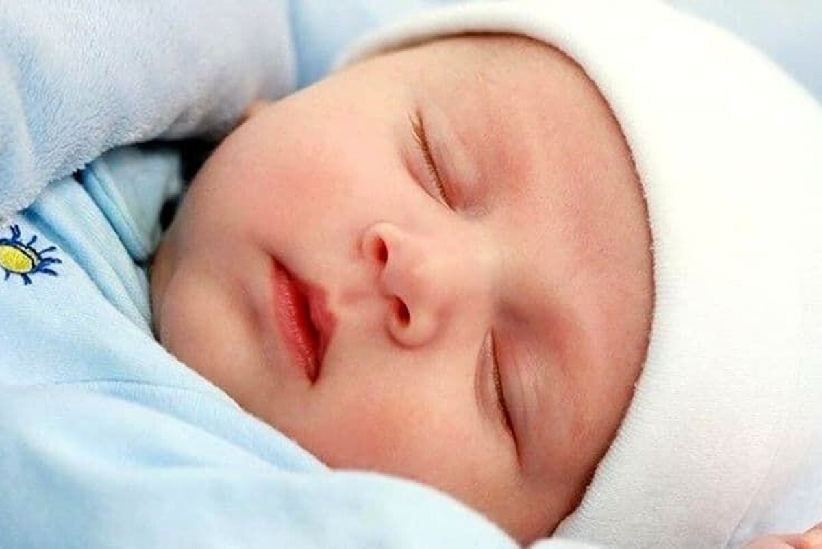 بررسی تاثیرات آلودگی‌های شدید بر باروری