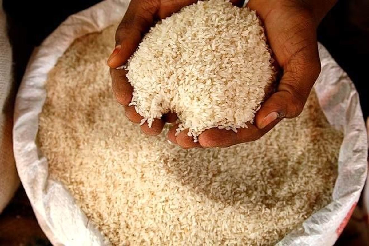 برنج پاکستانی را با این روش کیلویی ۲۵۰ هزار تومان به فروش می‌رسانند