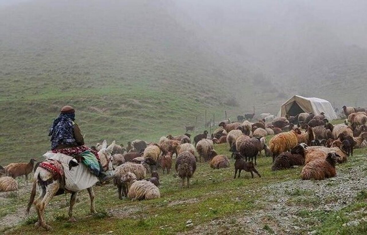 بوروکراسی‌های اداری سد راه توسعه گردشگری در کلات خراسان رضوی شده است
