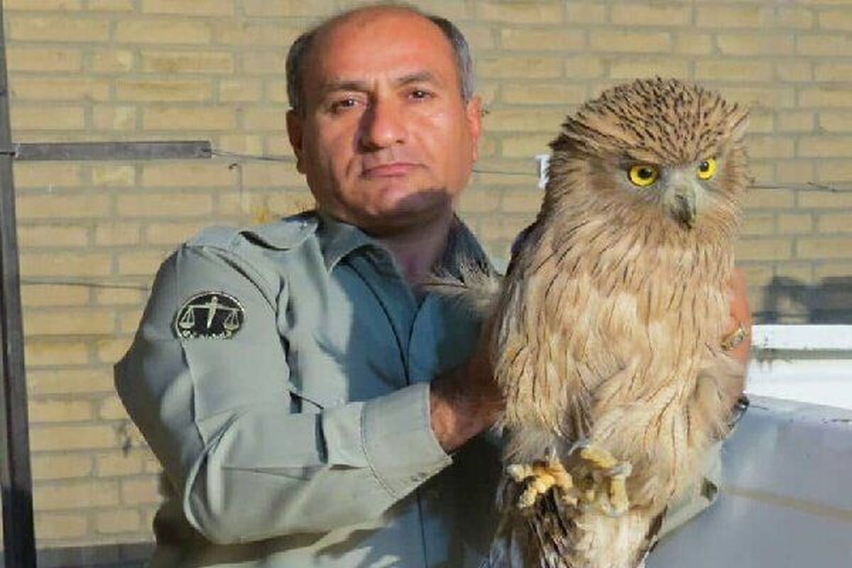 پرونده شهید هدایت‌الله دیده‌بان برای دستگیری ضارب سوم همچنان باز است