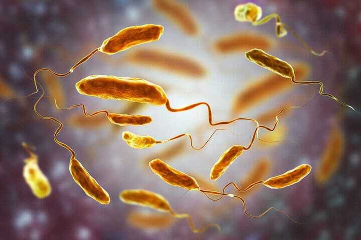 تشدید مراقبت‌های بهداشتی مرزی | شناسایی ۱۹۱ نمونه مشکوک به وبا