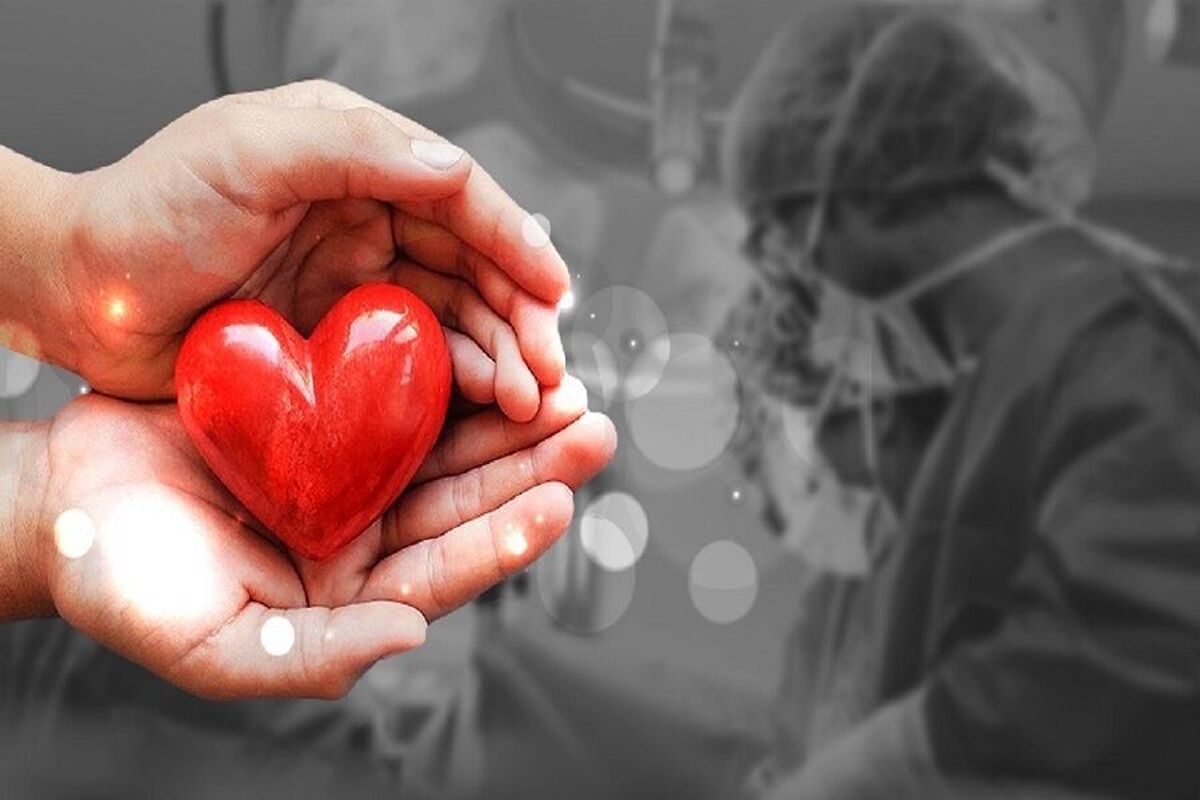 اهدای عضو دختر جوان مرگ مغزی در مشهد به ۳ بیمار زندگی دوباره بخشید (۳۰ تیر ۱۴۰۴)