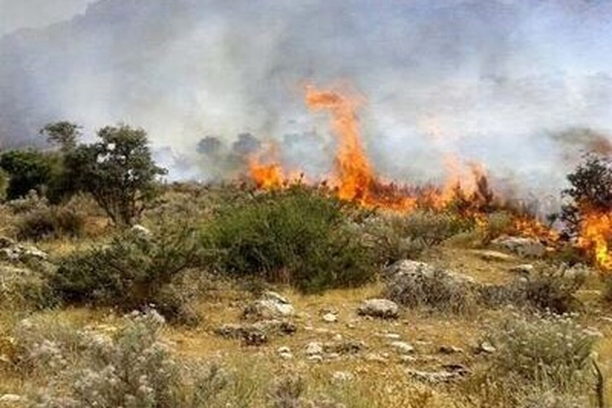 رئیس اداره منابع طبیعی شاهرود با ابراز تأسف برای از بین رفتن بخشی از پوشش جنگلی منطقه ابر شاهرود، گفت: علت اصلی وقوع حریق در دست بررسی است.