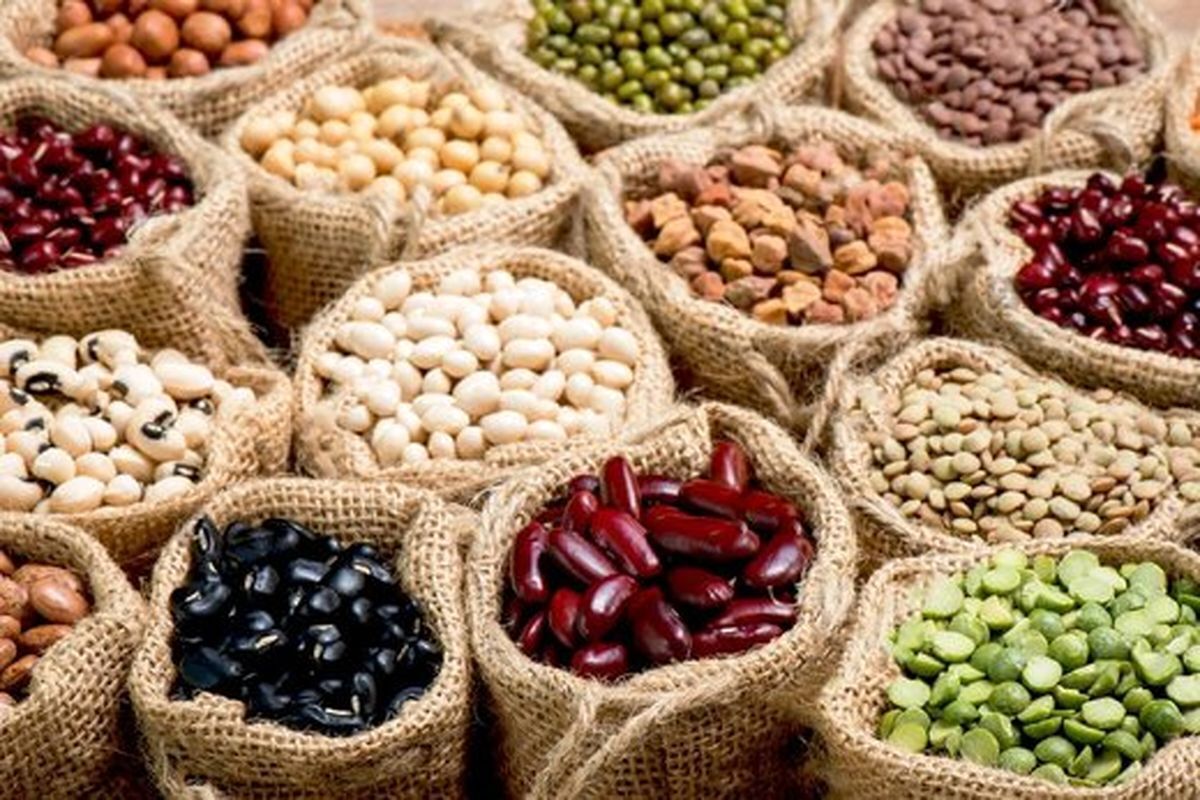 ثبت سفارش واردات حبوبات و چای از امروز (۷ تیرماه ۱۴۰۴) آغاز می‌شود