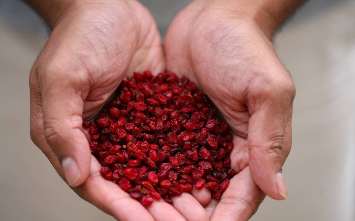 «زرشک» گنجینه‌ای سرخ با خواص شگفت‌انگیز