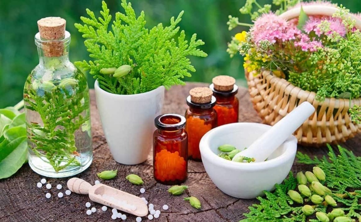 فعالان حوزه گیاهان دارویی و طب سنتی حمایت می‌شوند