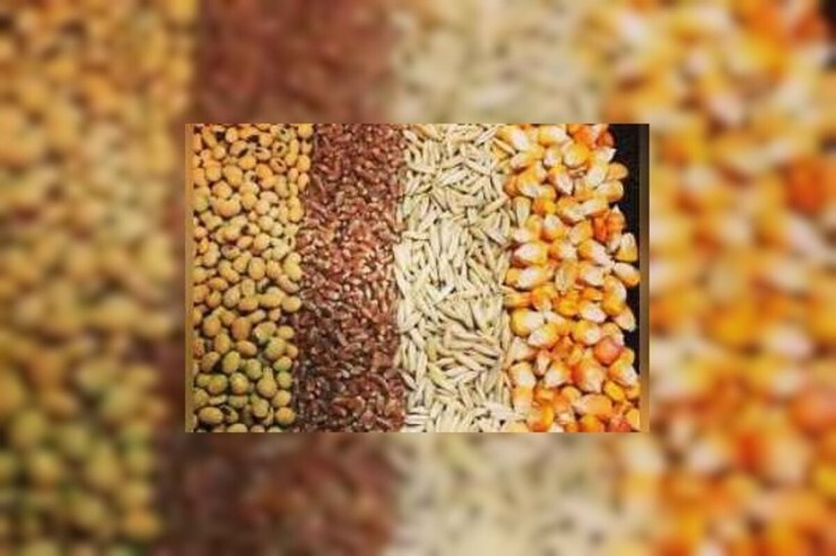 قیمت مصوب جدید نهاده‌های دامی، روغن و شکر خام اعلام شد (یکم مرداد ۱۴۰۴)