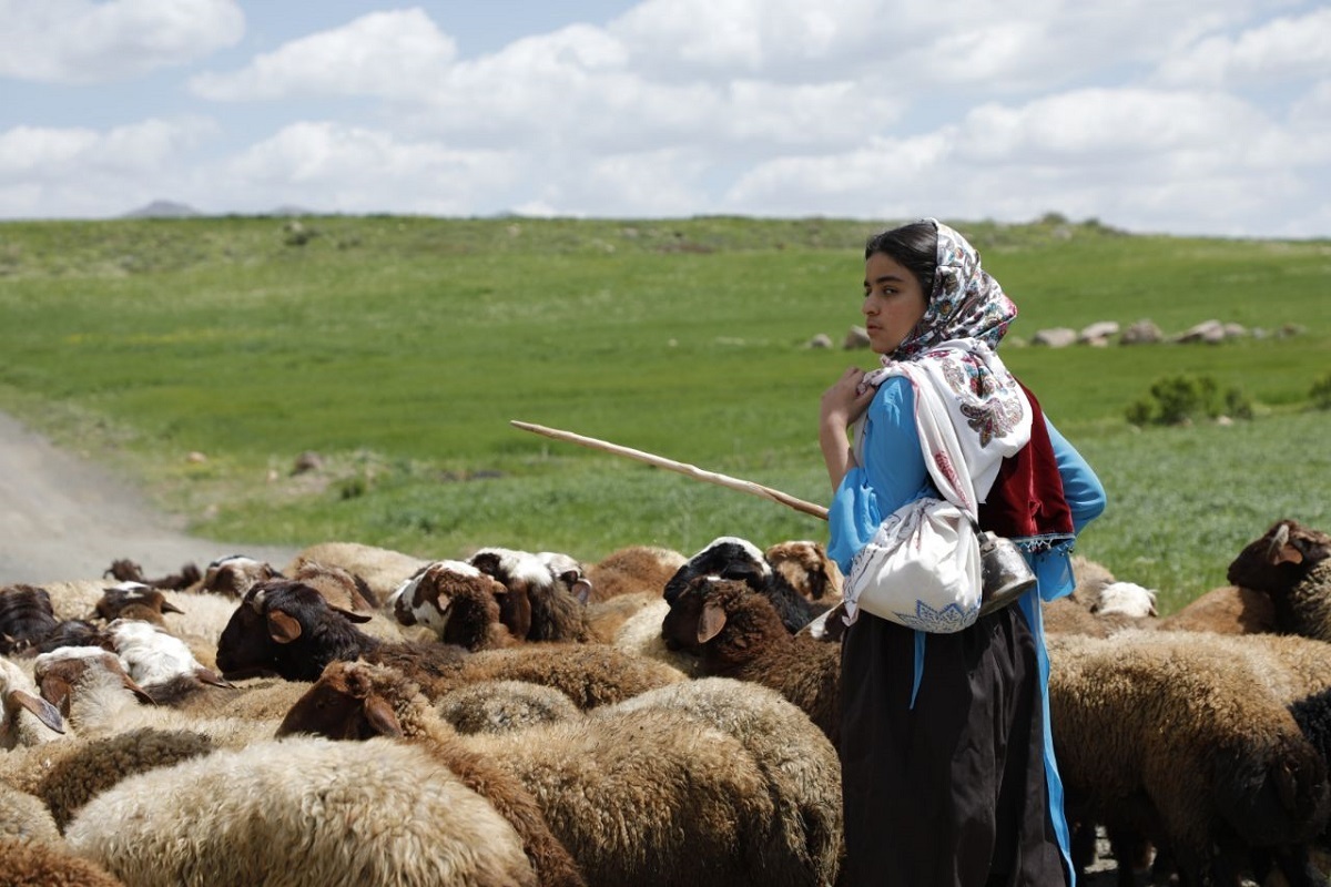 فیلم کوتاه «دشت می‌خواند» در راه ایتالیا
