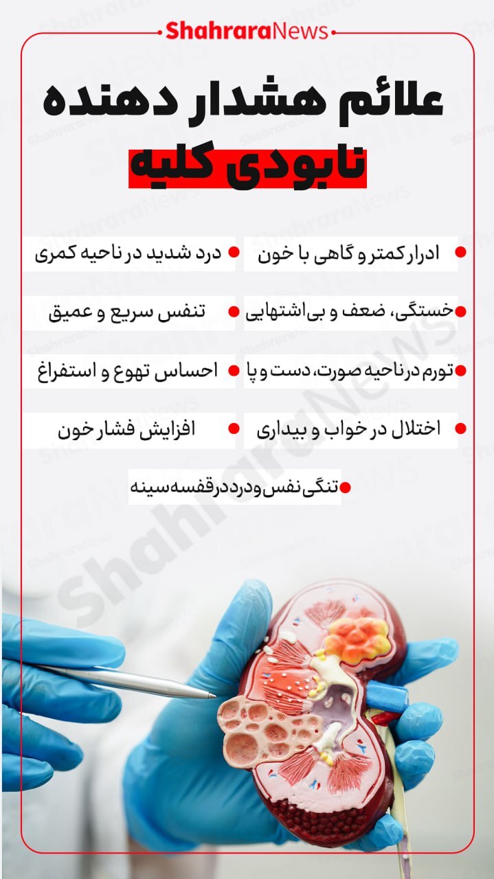 اینفوگرافی| علائم هشدار دهنده نابودی کلیه