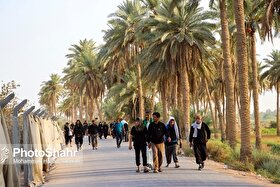 ۴۰ فضیلت والای زیارت امام حسین علیه السلام در روز اربعین
