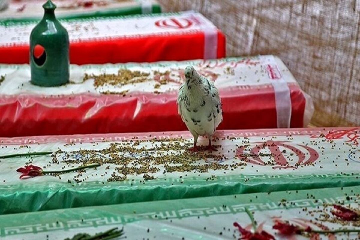 تولید آثار هنری مختلف برای معرفی شهدای غریب