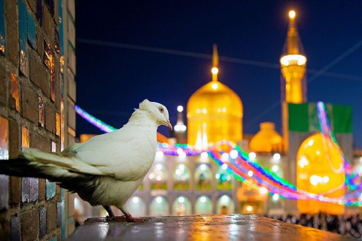 زیارت مجازی ویژه شیعیان جهان در دهه پایانی ماه صفر