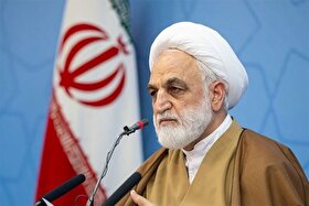 اژه‌ای: اینکه عده‌ای راه حل مشکلات کشور را آمریکا می‌دانند مایه شگفتی است
