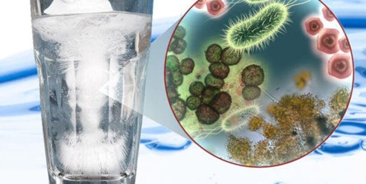 چطور از تجمع باکتری‌ها در غذا و نوشیدنی جلوگیری کنیم؟
