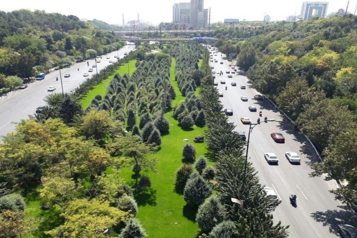 حجت میان‌آبادی، کارشناس حوزه آب مدعی شد که شهرداری مشهد در سال ۹۵ بیش از ۶۰ میلیون مترمکعب آب صرف چمن‌کاری کرده! امروز این عدد دو برابر شده است.