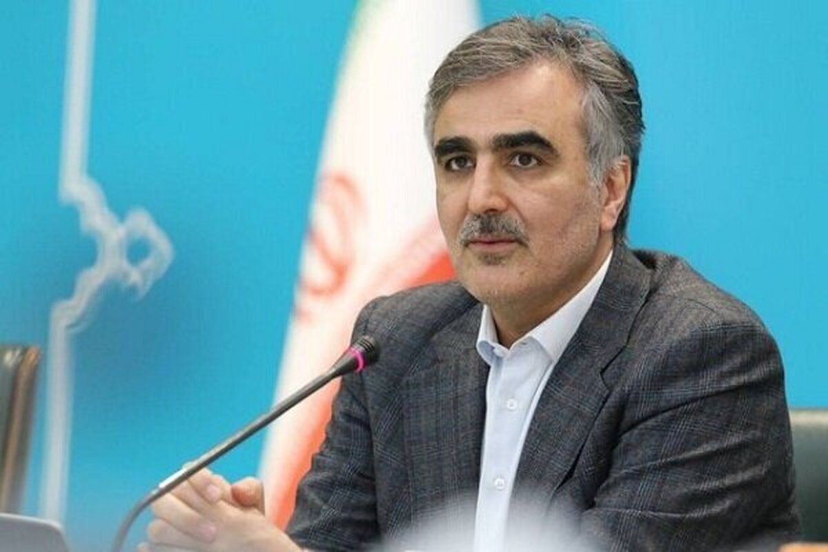 فرزین: قیمت غیررسمی ارز اغلب برای کالا‌های قاچاق است