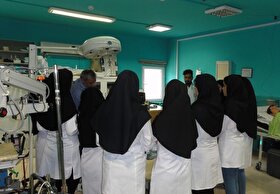 قالیباف: مسئله ظرفیت‌‌های رشته پزشکی و دندان پزشکی حل شده است