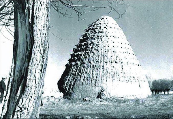 گذری بر سرگذشت یخدان روستای «چهاربرج» به مناسبت سالروز ثبت‌ملی شدنش | موقوفه «نجدالسلطنه» در دیار شاهنامه